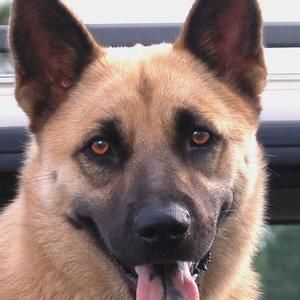 Meet your Posher, Gail